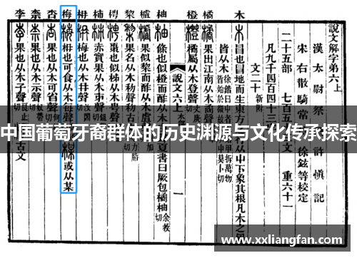 中国葡萄牙裔群体的历史渊源与文化传承探索